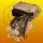 Einspritzpumpe 0470004004 Ford Transit Bus Kasten Prit 2,0 2,4 DI